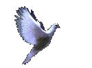 dovefly1.gif (29909 bytes)