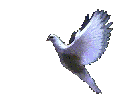 dovefly2.gif (9957 bytes)
